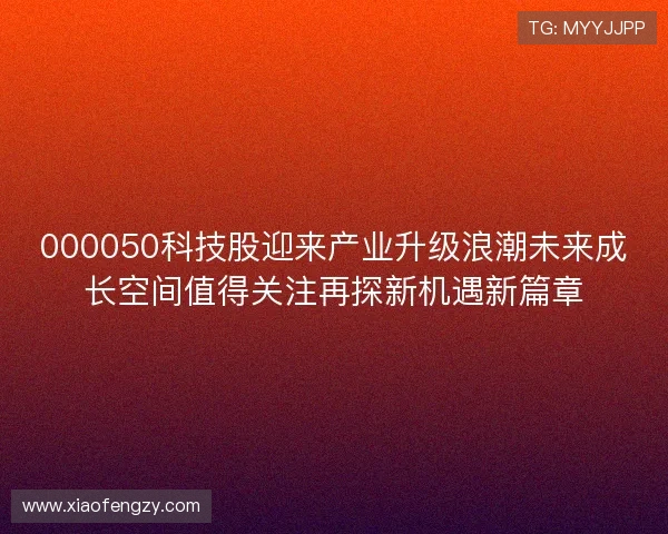 000050科技股迎来产业升级浪潮未来成长空间值得关注再探新机遇新篇章 000050科技股迎来产业升级浪潮未来成长空间值得关注再探新机遇新篇章